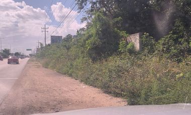 Terreno Comercial con construcción en renta