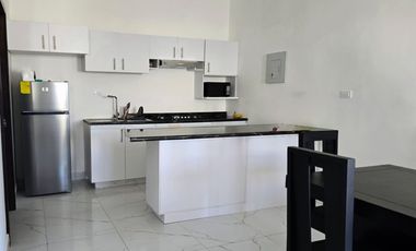 DEPARTAMENTO EN VIÑEDOS EN VENTA