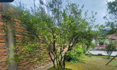 Venta de terreno Sector Los Ceibos, Ibarra