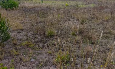 VENDO TERRENO DE 908m DENTRO DE URBANIZACION, Malchingui