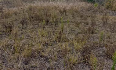 VENDO TERRENO DE 908m DENTRO DE URBANIZACION, Malchingui