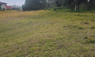 Terreno en Renta en Albert Einstein, Toluca