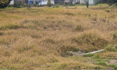 Terreno en Renta en Albert Einstein, Toluca
