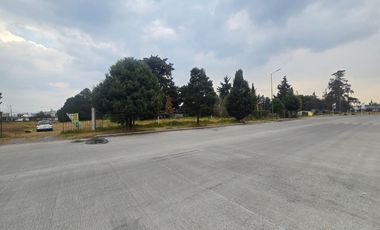 Terreno en Renta en Albert Einstein, Toluca