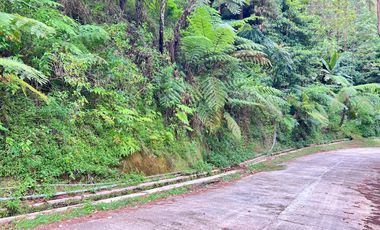 Tanah Bonus Villa Cocok Untuk Wista Glamping Kemuning