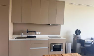 DEPARTAMENTO AMUEBLADO EN RENTA DISTRITO ARMIDA TORRE 1 ACACIA PISO 29 SPGG