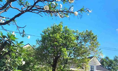 Brand New Studio Unit For Rent In Angeles City Pampanga