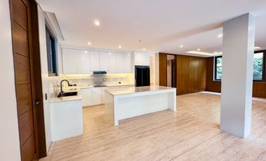 Brand New Semi-Furnished w/ Elevator House and Lot for Sale in BF Homes, Parañaque City