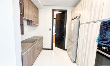 Elegant Brand New 3-Storey Semi Furnished House & Lot for Sale in BF Homes, Parañaque City