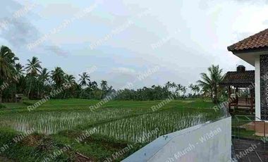 Villa Mewah Siap Huni Di Kaki Gunung Ijen Licin Banyuwangi