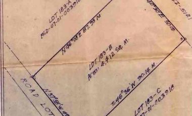 For Sale Prime Commercial Lot in Mandaue City