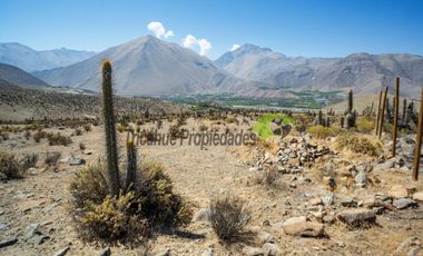 Venta de parcela en sector Mamalluca (Vicuña, Valle del Elqui), 5.000 m2. $44 millones