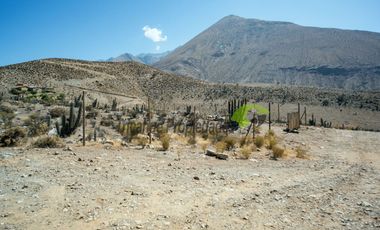 Venta de parcela en sector Mamalluca (Vicuña, Valle del Elqui), 5.000 m2. $44 millones