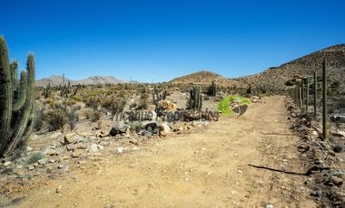 Venta de parcela en sector Mamalluca (Vicuña, Valle del Elqui), 5.000 m2. $44 millones