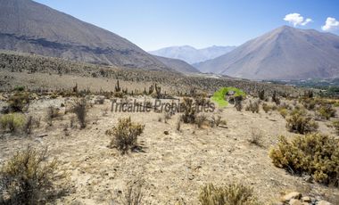 Venta de parcela en sector Mamalluca (Vicuña, Valle del Elqui), 5.000 m2. $44 millones