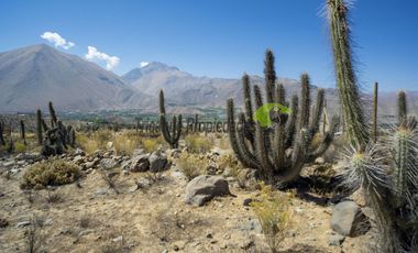 Venta de parcela en sector Mamalluca (Vicuña, Valle del Elqui), 5.000 m2. $44 millones