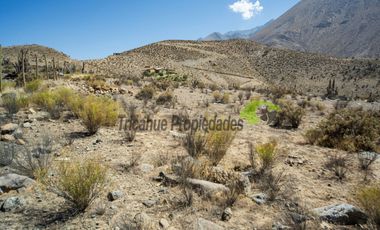 Venta de parcela en sector Mamalluca (Vicuña, Valle del Elqui), 5.000 m2. $44 millones