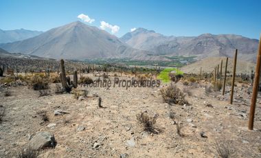 Venta de parcela en sector Mamalluca (Vicuña, Valle del Elqui), 5.000 m2. $44 millones