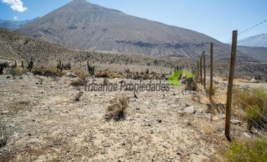 Venta de parcela en sector Mamalluca (Vicuña, Valle del Elqui), 5.000 m2. $44 millones
