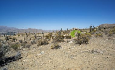 Venta de parcela en sector Mamalluca (Vicuña, Valle del Elqui), 5.000 m2. $44 millones