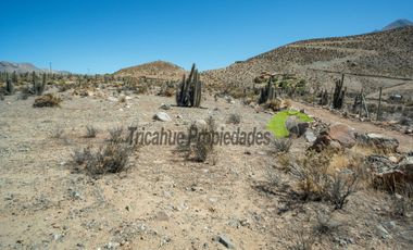 Venta de parcela en sector Mamalluca (Vicuña, Valle del Elqui), 5.000 m2. $44 millones