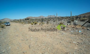 Venta de parcela en sector Mamalluca (Vicuña, Valle del Elqui), 5.000 m2. $44 millones