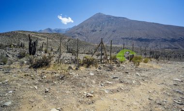 Venta de parcela en sector Mamalluca (Vicuña, Valle del Elqui), 5.000 m2. $44 millones