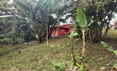 Venta De Finca Campestre