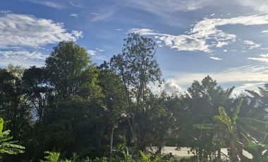 Venta De Finca Campestre