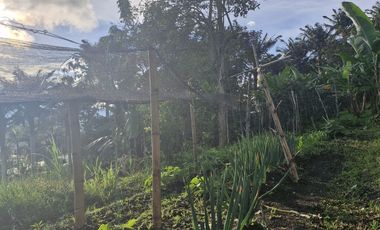 Venta De Finca Campestre