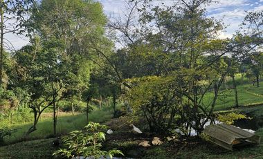 Venta De Finca Campestre