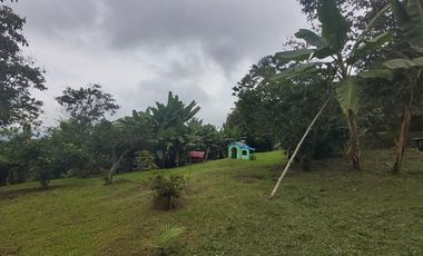 Venta De Finca Campestre