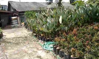 Dijual/disewakan rumah hitung tanah Raya Bukit Berbunga Batu Malang