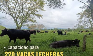 VENTA DE FINCA GANADERA LECHERA VIA ALCALA.