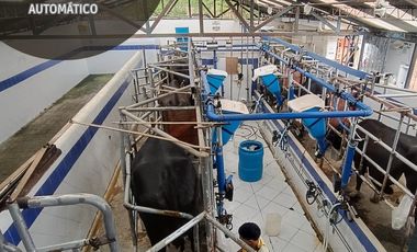 VENTA DE FINCA GANADERA LECHERA VIA ALCALA.