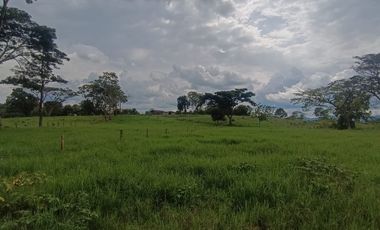 VENTA DE FINCA GANADERA LECHERA VIA ALCALA.