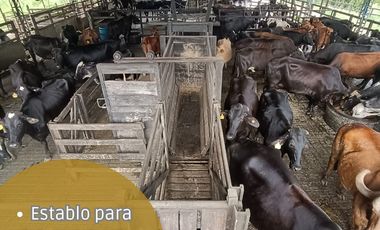 VENTA DE FINCA GANADERA LECHERA VIA ALCALA.