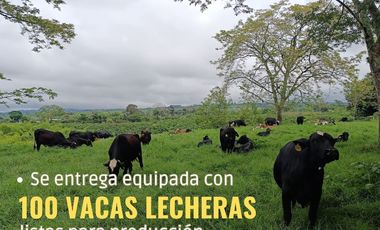 VENTA DE FINCA GANADERA LECHERA VIA ALCALA.