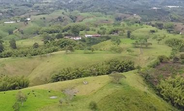 VENTA DE FINCA GANADERA LECHERA VIA ALCALA.