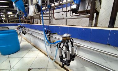 VENTA DE FINCA GANADERA LECHERA VIA ALCALA.