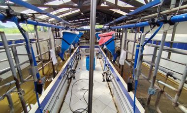 VENTA DE FINCA GANADERA LECHERA VIA ALCALA.
