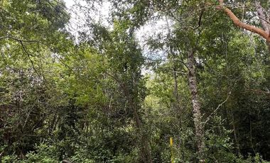 Vendo Parcela De Agrado En Cuenca Del Lago Ranco, Futrono