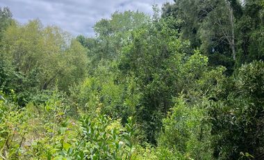 Vendo Parcela De Agrado En Cuenca Del Lago Ranco, Futrono