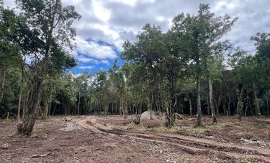 Vendo Parcela De Agrado En Cuenca Del Lago Ranco, Futrono