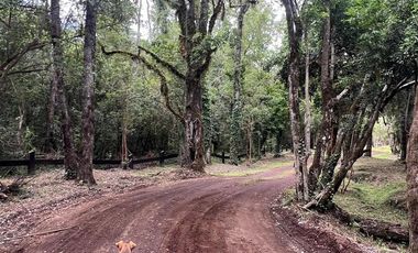 Vendo Parcela De Agrado En Cuenca Del Lago Ranco, Futrono