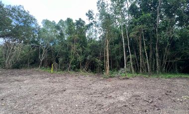 Vendo Parcela De Agrado En Cuenca Del Lago Ranco, Futrono