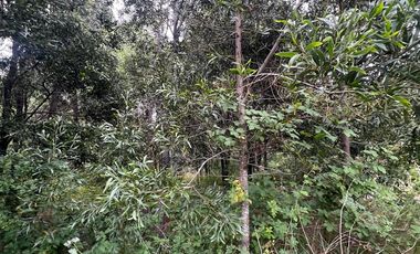 Vendo Parcela De Agrado En Cuenca Del Lago Ranco, Futrono