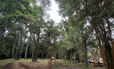 Vendo Parcela De Agrado En Cuenca Del Lago Ranco, Futrono