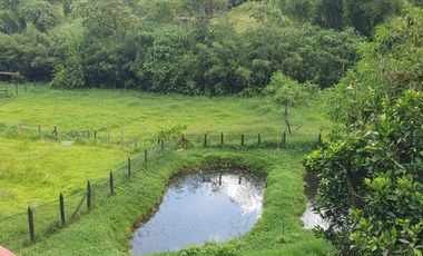 EN VENTA FINCA EN LA FLORIDA, PEREIRA