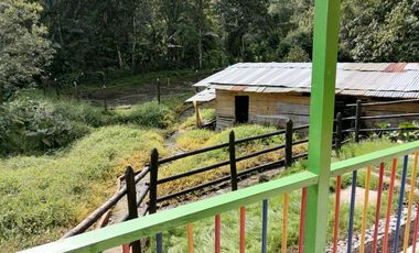 EN VENTA FINCA EN LA FLORIDA, PEREIRA